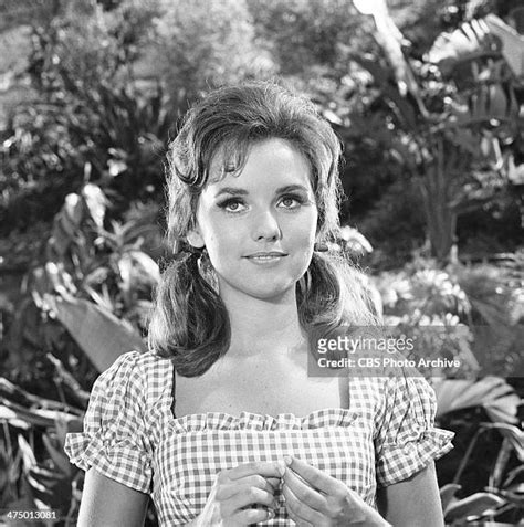 1,012 Dawn Wells Photos & High Res Pictures